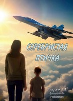 Обложка произведения Серебристая птичка