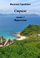 Обложка произведения Стриж. Часть 1. Остров Фуругельма