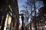 Обложка произведения Отражение