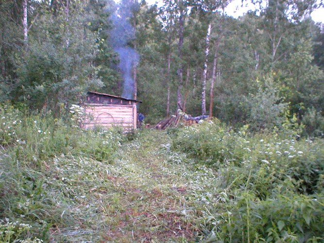 Обложка произведения Лесная философия