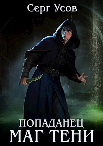 Обложка произведения Попаданец. Маг Тени. Книга 8