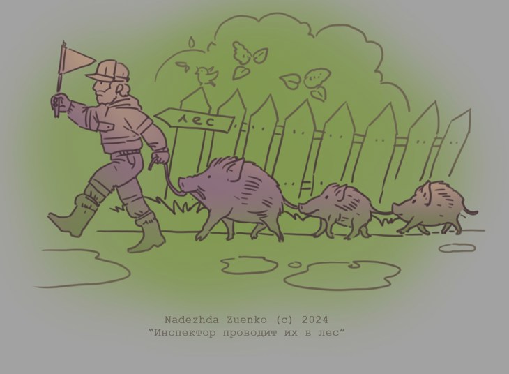 Иллюстрация