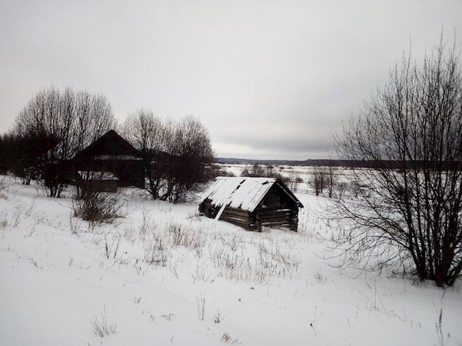 Обложка произведения Самоубийство