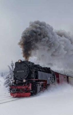 Обложка произведения Потеряны, но не забыты