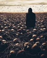 Обложка произведения Остров.