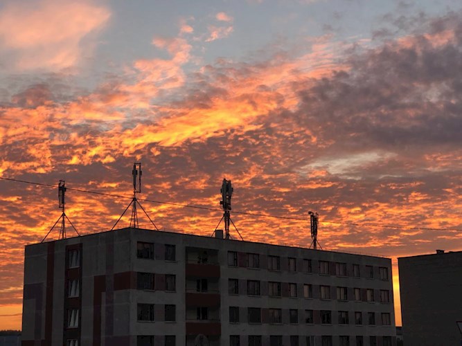 Обложка произведения С самого первого класса, мне очень нравилась одна девочка...