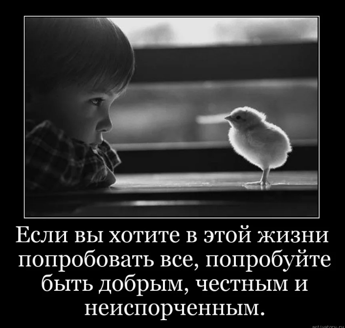 Доброта #3 / Константин Исмаев @ismaev_konstantin. Опубликовано: 11 июн ...