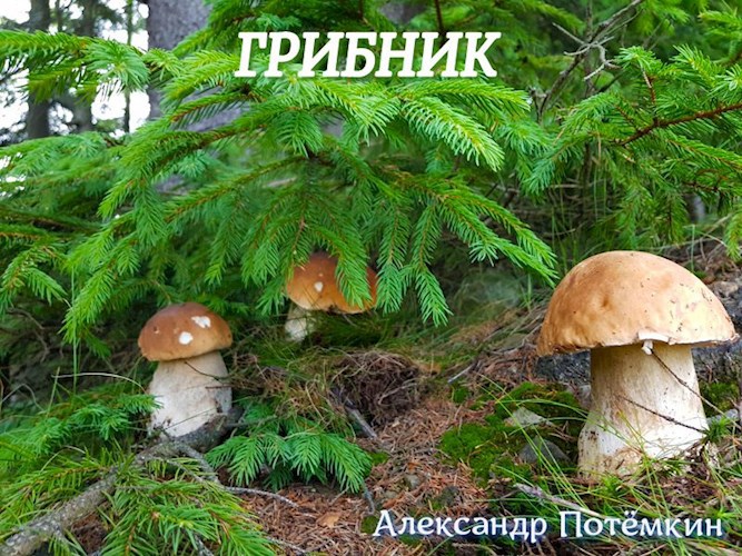 Обложка произведения Грибник