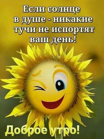 Обложка произведения Солнца Лучник