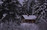 Обложка произведения Цена прекрасного