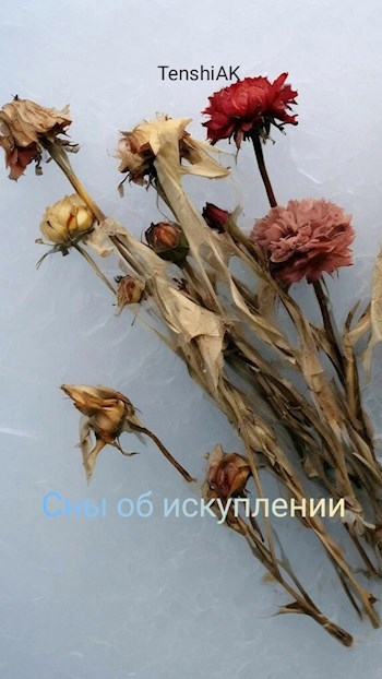 Обложка произведения Сны об искуплении