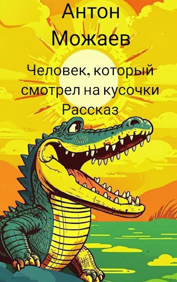 Обложка произведения Человек, который смотрел на кусочки