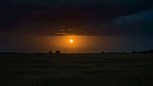 Обложка произведения Предрассветная мгла