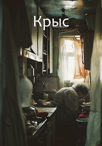 Обложка произведения Крыс