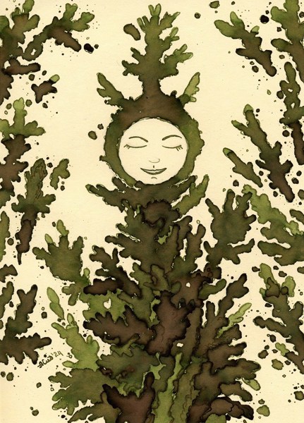 Иллюстрация