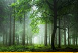 Обложка произведения Комбинация не совместимая с жизнью