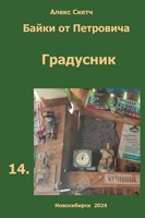 Обложка произведения Градусник