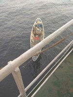 Обложка произведения Когда восточного базара нет