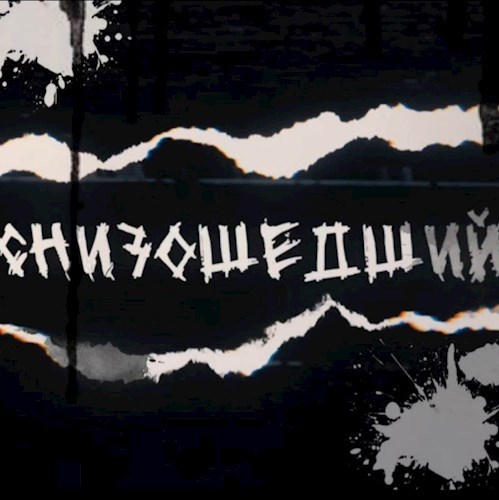 Обложка произведения Снизошедший