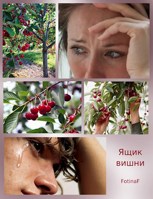 Обложка произведения Ящик вишни