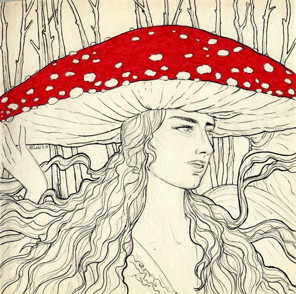 Иллюстрация