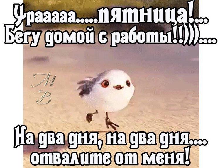 Мой срок кончается в пятницу техник. Пятница домой. Пятница домой с работы. Открытки бегом домой с работы. Бегу на работу.
