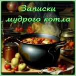 Обложка произведения Записки мудрого котла
