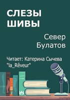 Обложка произведения Слезы Шивы