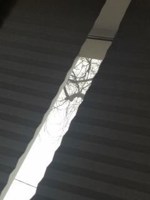 Обложка произведения Не хочу быть поэтом