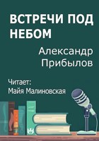 Обложка произведения Встречи под небом