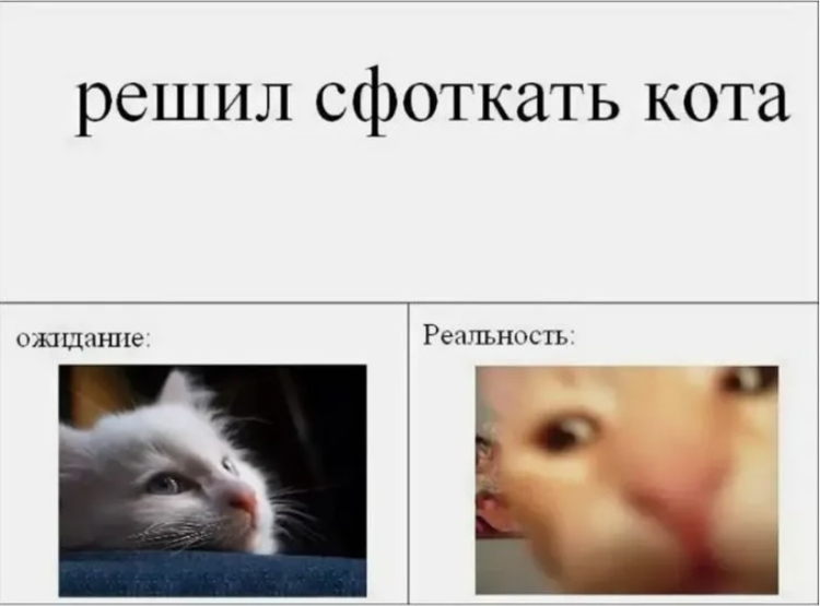 Селфи с телефоном. Сфоткай меня с цветами а где цветы. Я тебе его сфоткают. Я тебе его сфоткают. Парень фоткает девушку.