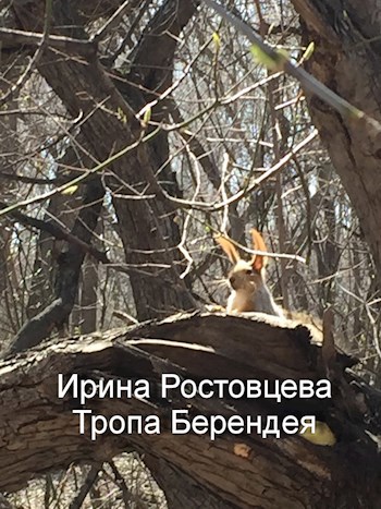 Обложка произведения Тропа Берендея