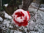Обложка произведения Неожиданное чудо