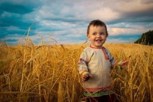 Обложка произведения Василек и Василиск