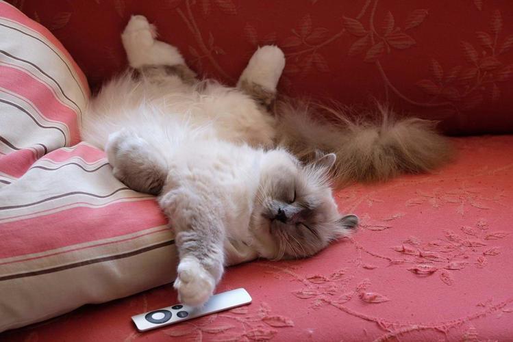 Который работает в воскресенье. Который работает в воскресенье