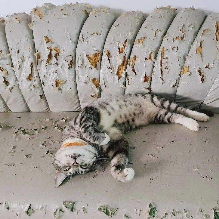Не вижу ни одной. Не вижу ни одной