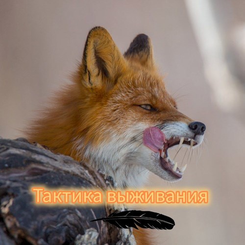 Обложка произведения Тактика выживания
