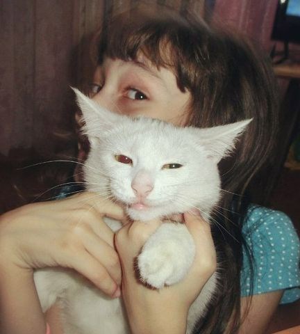 Обложка произведения Котя, половина хомяка и Маринетт Мортем