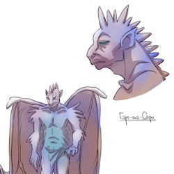 #178053
