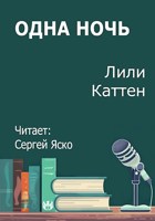 Обложка произведения Одна ночь