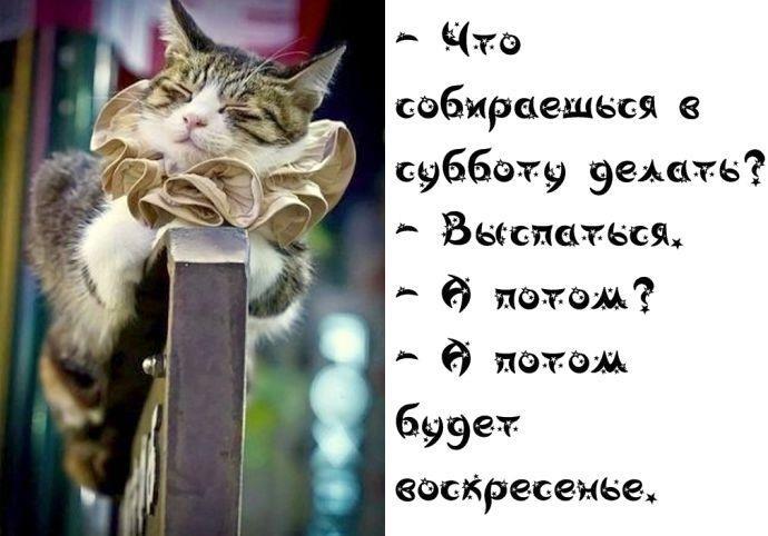 d5f75efa9b4c471ab5431f1c6d540bfe.jpg