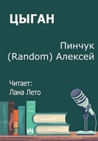 Обложка произведения Цыган