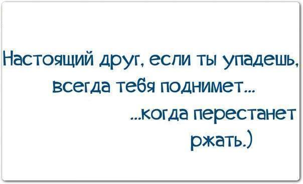 Если ты упадешь я тебя подниму. Упал вставай. Забыли про меня цитаты. Дух волка цитаты. Подруга когда перестает ржать.
