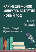 Обложка произведения Как медвежонок Мишутка встретил Новый год
