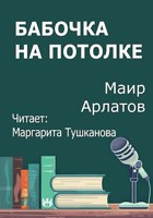 Обложка произведения Бабочка на потолке