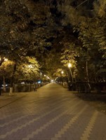 Обложка произведения Метастазы разума..