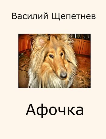 Обложка произведения Афочка