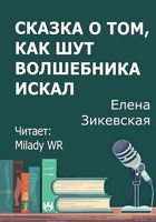 Обложка произведения Сказка о том, как Шут волшебника искал