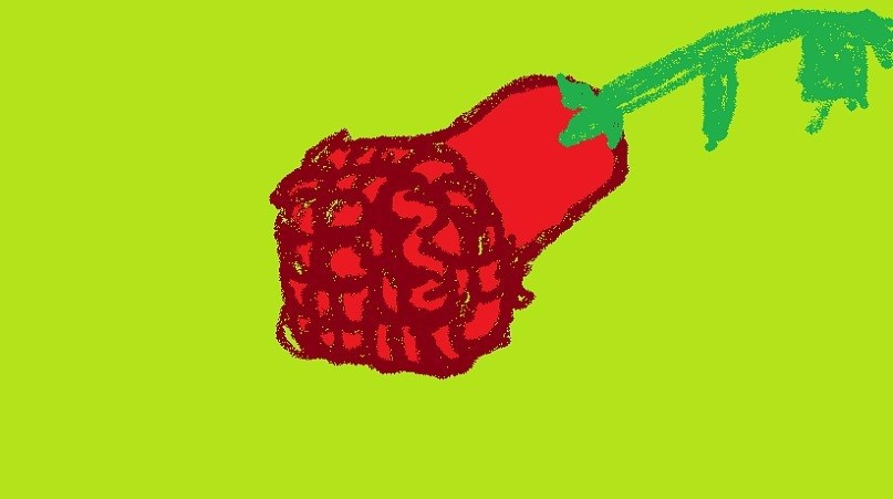 Обложка произведения "Многообразие природы: розы в разных условиях" Маринетт Мортем