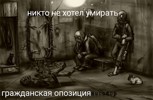 Обложка произведения Самосбор. Никто не хотел умирать